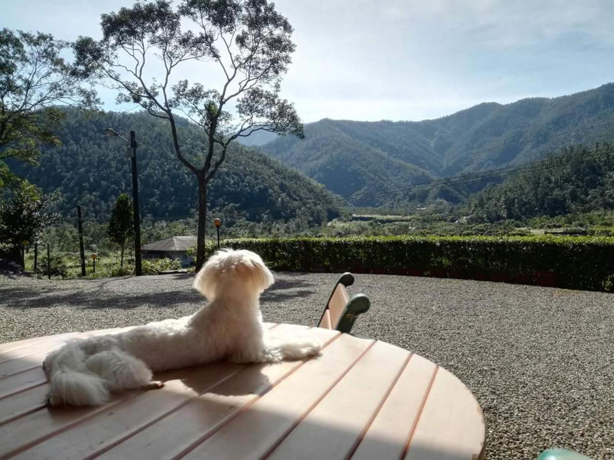 Song Lin Homestay Dongshan  Exteriör bild